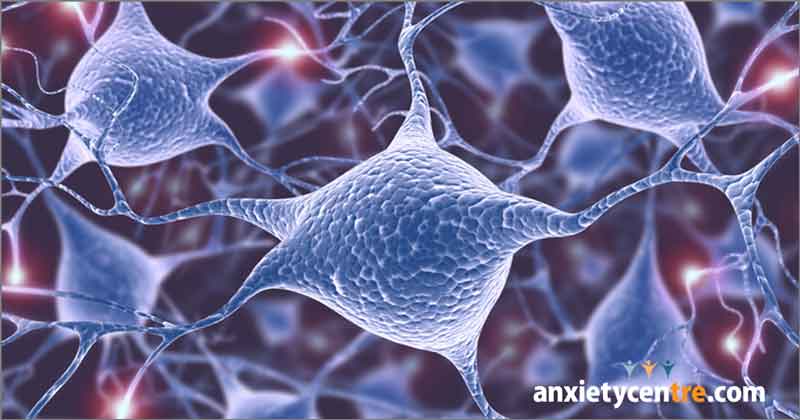 biological problem with the brain