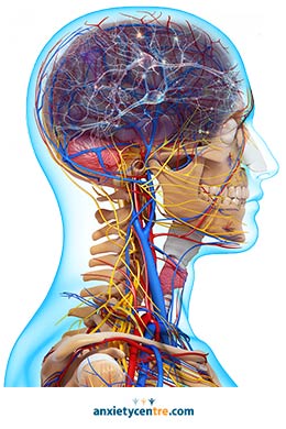 head brain zaps anxiety symptoms 2