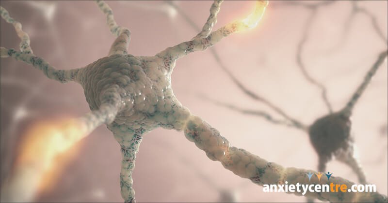 chemical imbalance theory false for anxiety disorder