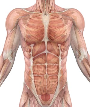 anxiety chest tightness symptoms