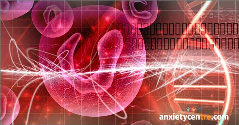 genetic predisposition anxiety disorder myth