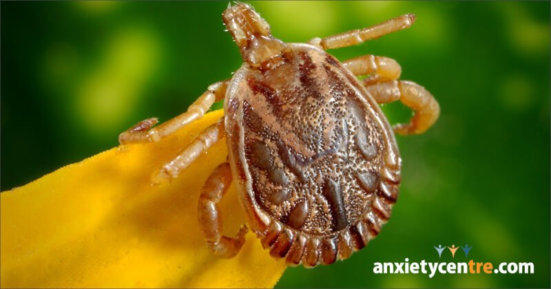 lyme disease and anxiety disorder