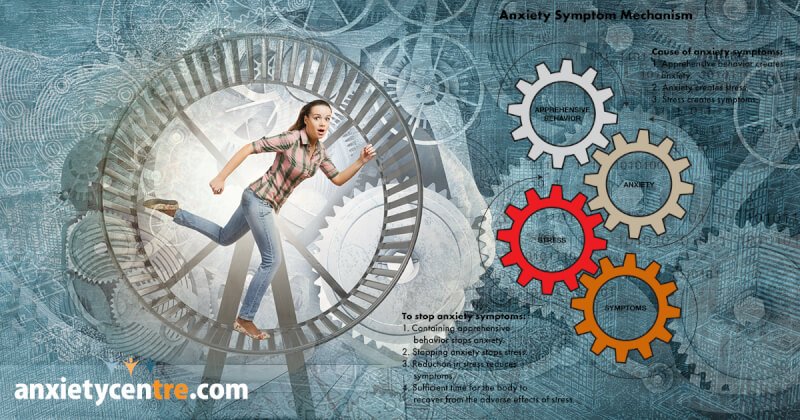 underlying factors that cause apprehensive behavior