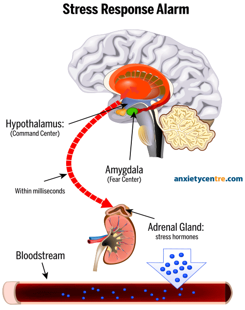 anxiety attack symptoms stress alarm