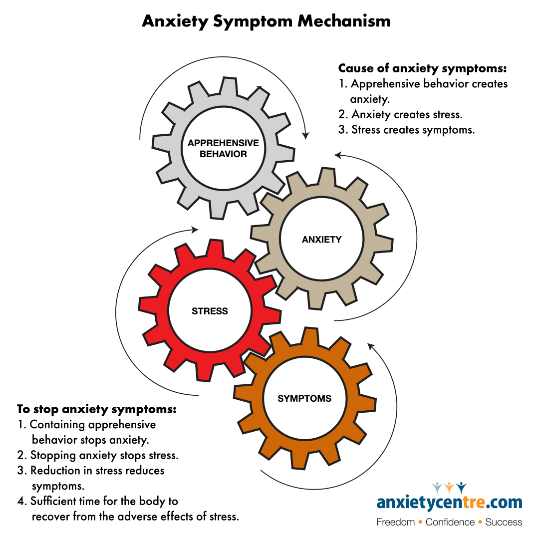 anxiety stress symptom mechanism image