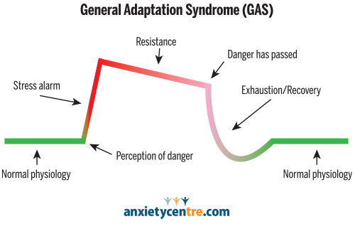 general adaptation syndrome