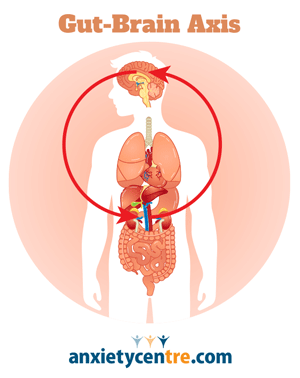 gut-brain axis