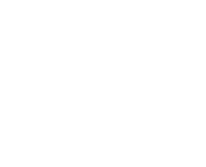 localtonet's Icon