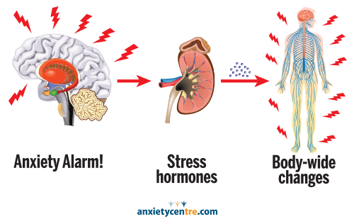 stress response hyperstimulation
