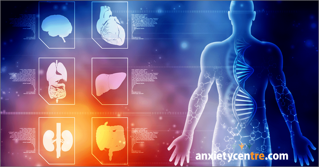 Featured image for “The Stress Response”
